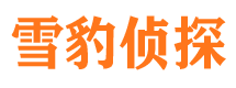 铜川市调查公司